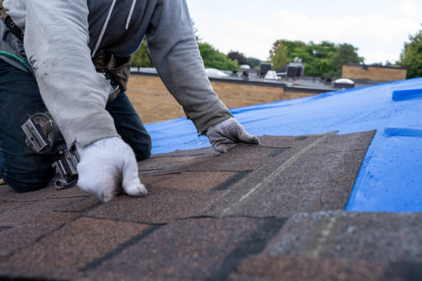 Best Roof Repair Services  in Tyndall, SD